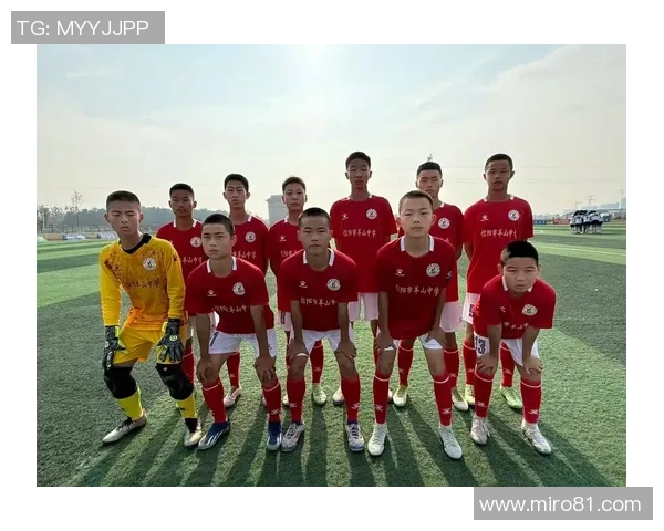 陵水足球明星阵容揭秘他们的成就与影响力分析